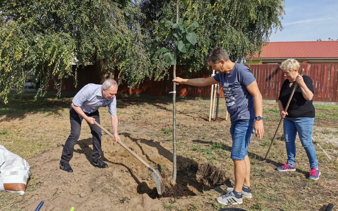 Civil munkában ültettünk fákat Sülysápon