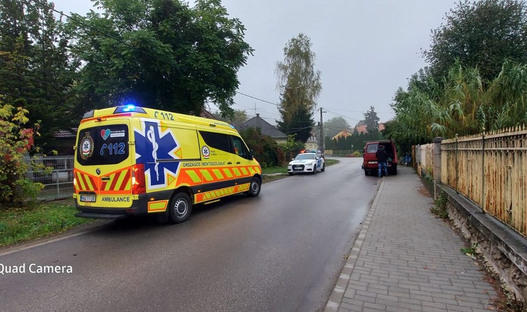 Állatmentőket hívtak a tűzoltók