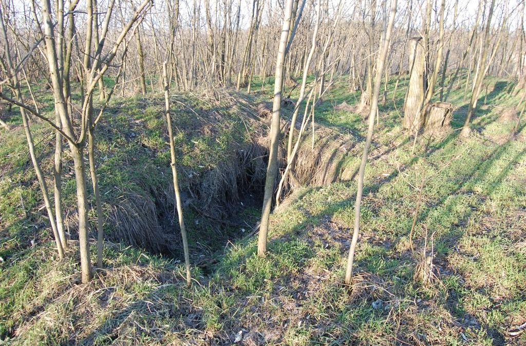 Sülysáp váras város? A LeányVÁR története