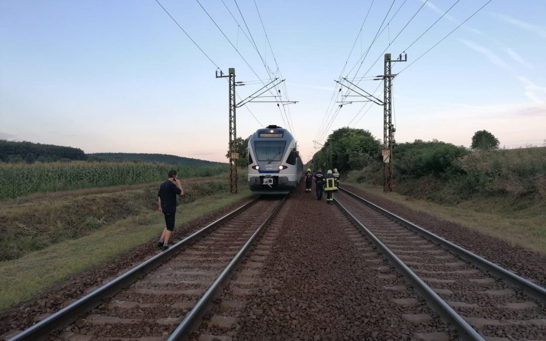 Sülysápon két halálos kimenetelű vonat baleset egy hét alatt